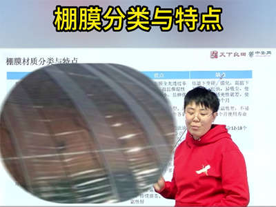 棚膜分类与特点 ()