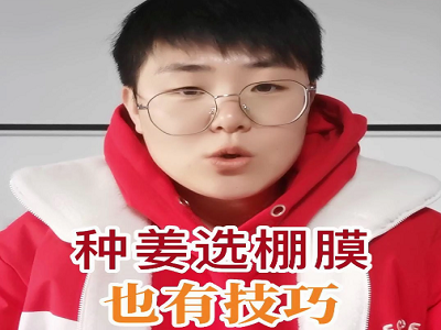 种姜选棚膜也有技巧 ()