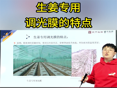 生姜专用调光膜的特点 ()