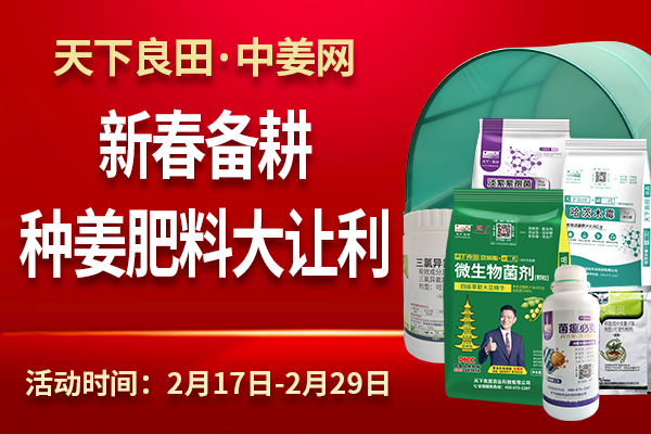 新春备耕，种姜肥料大让利 ()