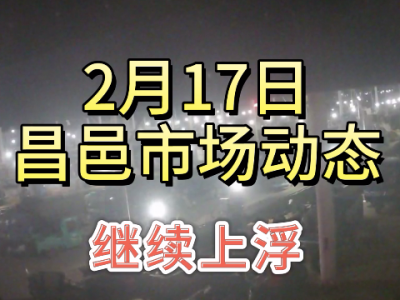 2月17日 昌邑生姜交易实况（继续上浮） ()