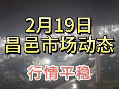 2月19日 昌邑生姜交易实况（行情平稳） ()