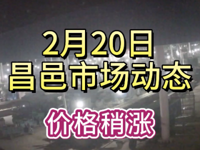 2月20日 昌邑生姜交易实况（价格稍涨） ()