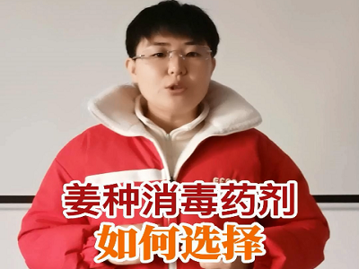 姜种消毒药剂如何选择？ ()