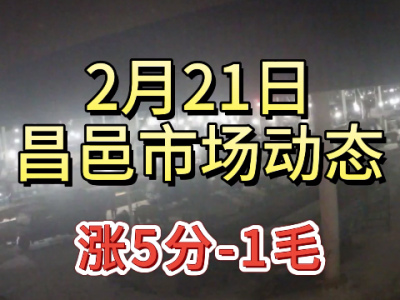 2月21日 昌邑生姜交易实况（涨5分-1毛） ()