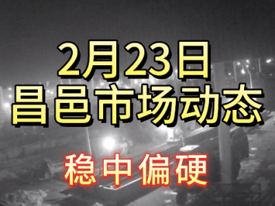 2月23日 昌邑生姜交易实况（稳中偏硬） ()