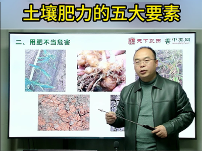 土壤肥力的五大要素 ()