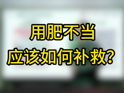 用肥不当应该如何补救？ ()