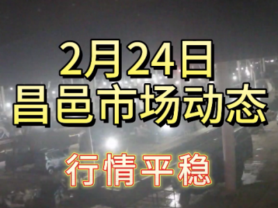 2月24日 昌邑生姜交易实况（行情平稳） ()