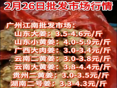 2月26日广州江南批发市场生姜价格行情 ()