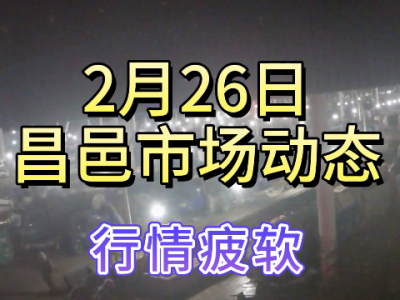 2月26日 昌邑生姜交易实况（行情疲软） ()