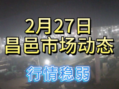 2月27日 昌邑生姜交易实况（行情稳弱） ()