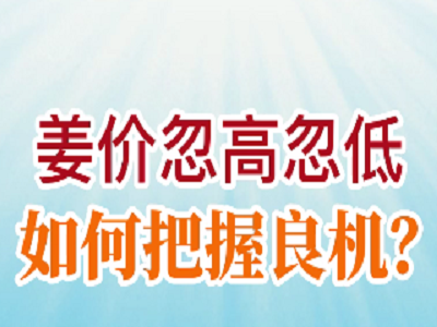 姜价忽高忽低  如何把握良机？ ()