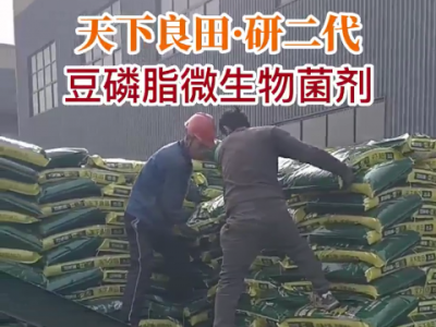 云南李老师订单发货中...... ()