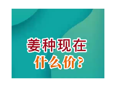 姜种现在什么价？ ()