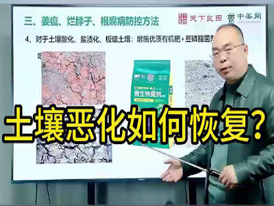 土壤恶化如何恢复？ ()