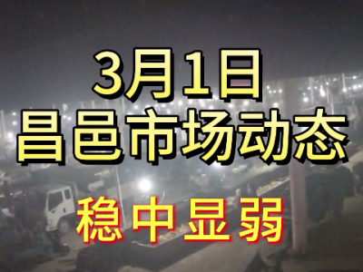 3月1日 昌邑生姜交易实况（稳中显弱） ()