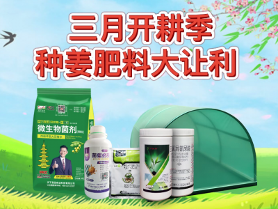 三月开耕季 种姜肥料大让利 ()
