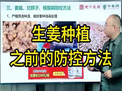生姜种植之前的防控方法 ()