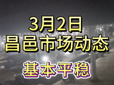 3月2日 昌邑生姜交易实况（基本平稳） ()
