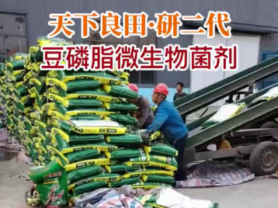 安徽牛老师菌剂订单发货中...... ()