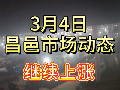 3月4日 昌邑生姜交易实况（继续上涨） ()