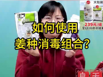 如何使用姜种消毒组合？ ()