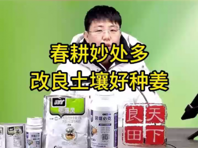 春耕妙处多，改良土壤好种姜 ()