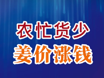 农忙货少 姜价涨钱 ()