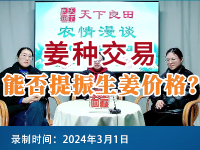 姜种交易能否提振生姜价格？ ()