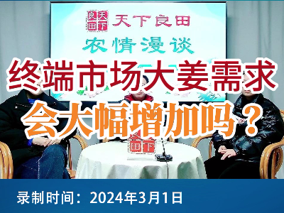 终端市场大姜需求会大幅增加吗？ ()