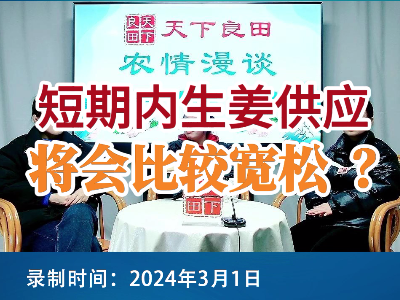 短期内生姜供应将会比较宽松？ ()