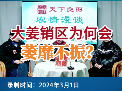 大姜销区为何会萎靡不振？ ()