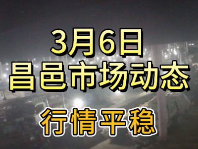 3月6日 昌邑生姜交易实况（行情平稳） ()