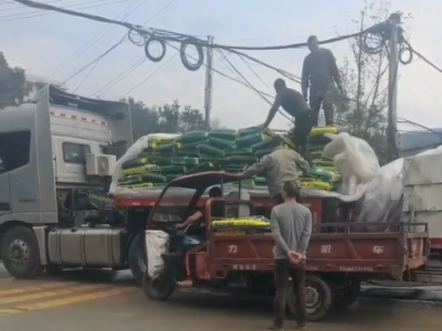 福建汪老师订单送货到家 ()