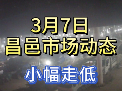 3月7日 昌邑生姜交易实况（小幅走低） ()