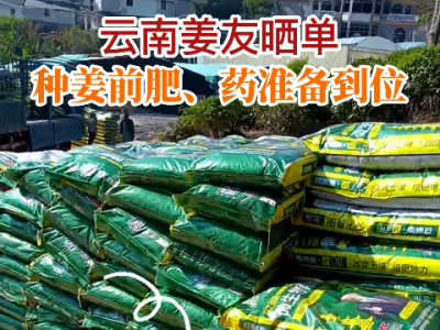 云南姜友种姜前的肥药准备到位 ()
