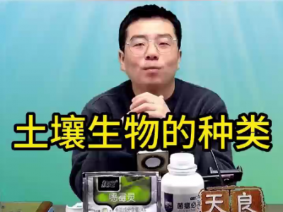 土壤生物的种类 ()