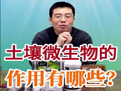 土壤微生物的作用有哪些？ ()