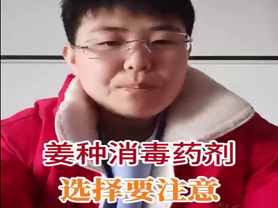 姜种消毒药剂选择要注意！ ()