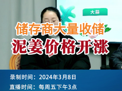 储存商大量收储，泥姜价格开涨 ()