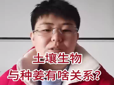 土壤生物与种姜有啥关系？ ()