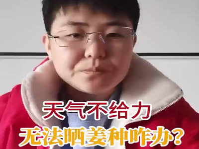 天气不给力 无法晒姜种咋办？ ()