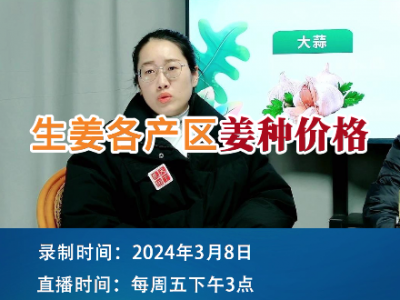 生姜各产区姜种价格 ()