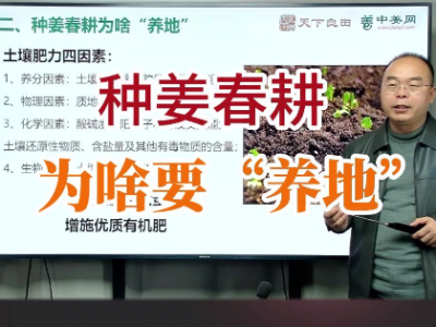 种姜春耕为啥要“养地” ()