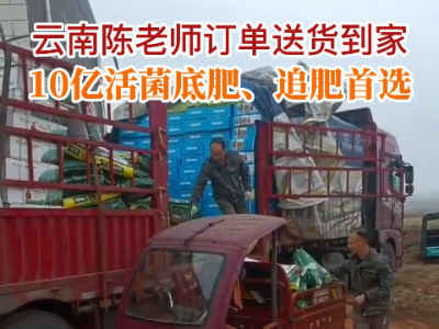 云南陈老师订单送货到家 ()