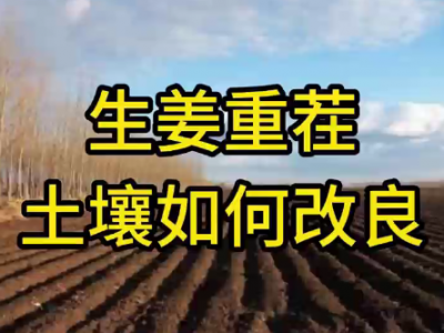生姜重茬土壤如何改良？ ()