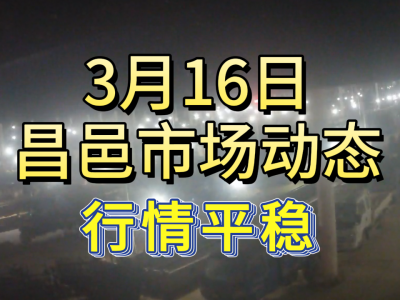 3月16日 昌邑生姜交易实况（行情平稳） ()