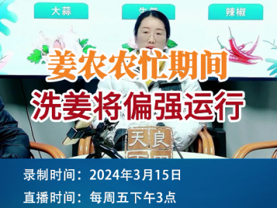 姜农农忙期间，洗姜将偏强运行 ()