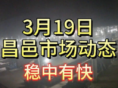3月19日 琨福市场大姜价格（稳中有快） ()